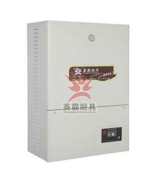 挂墙式电能蒸汽炉